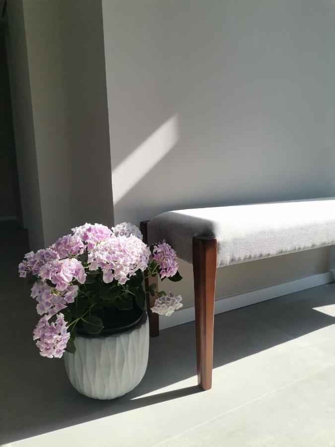 Vadvirag Vendeghaz Villa Zamardi Bagian luar foto